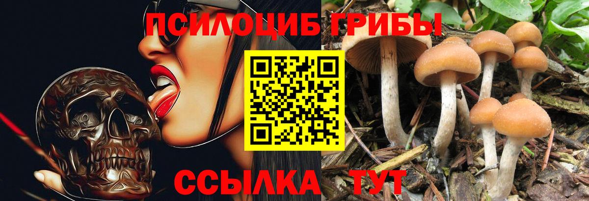 Галлюциногенные грибы Psilocybine cubensis Новоуральск